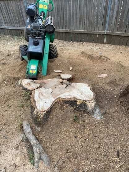 Stump Grinding Sydney - Sydney Tree & Stump Services