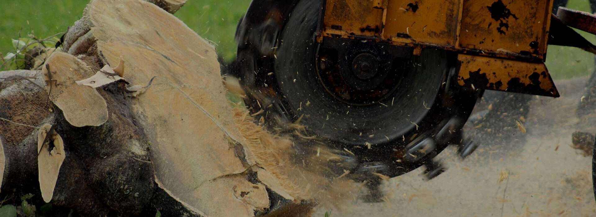 Sydney Tree Services & Stump Grinding - Sydney Tree & Stump Services